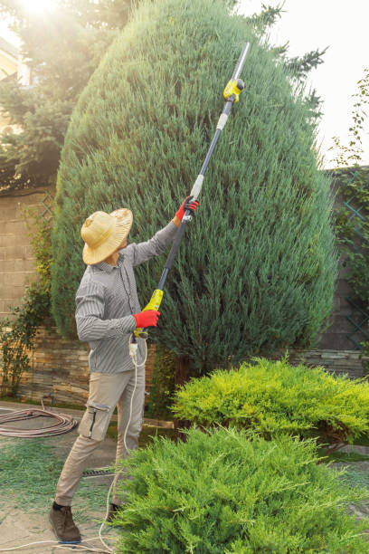 Best Tree Cutting Near Me  in Coleman, MI